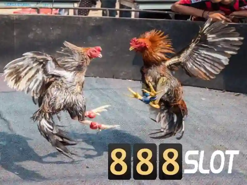 Bảo Mật Và Tính Năng Đa Năng