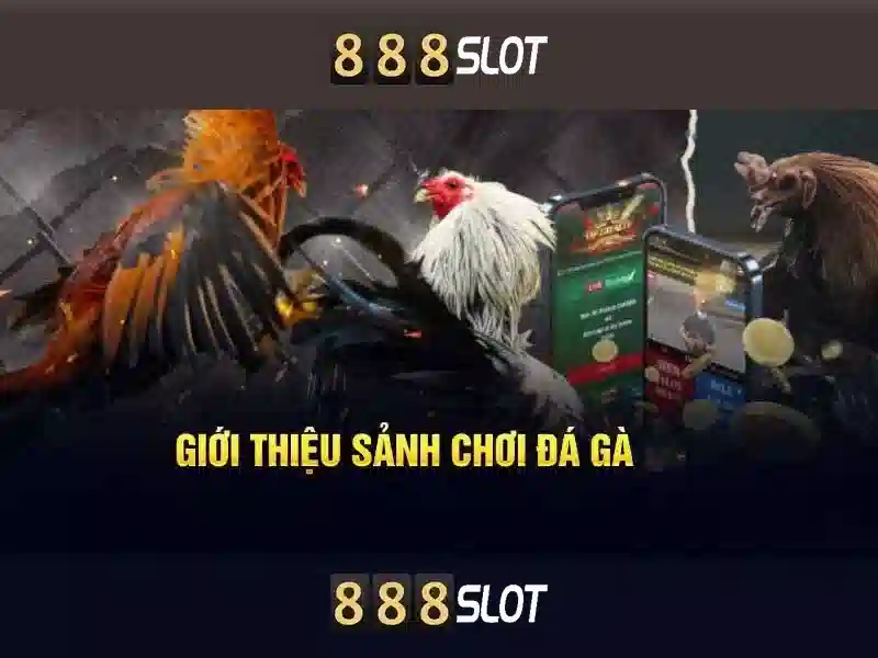 Trải Nghiệm Slot 888SLOT