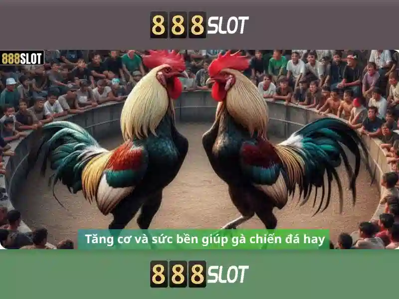 888SLOT - Trải Nghiệm Cược Đỉnh Cao Với Giao Diện Đa Dạng
