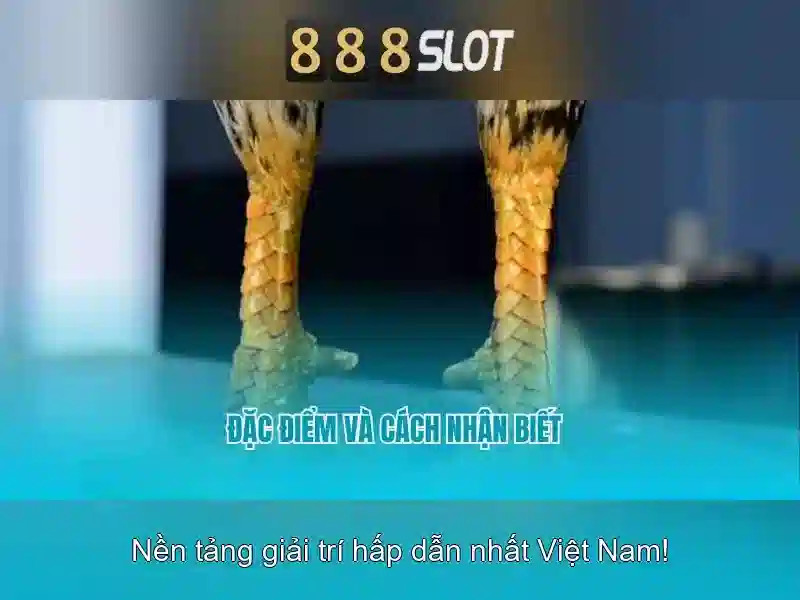 Tải App 888Slot